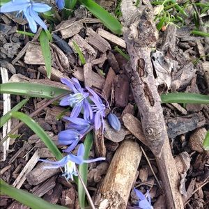 Meet your Posher, Kasia